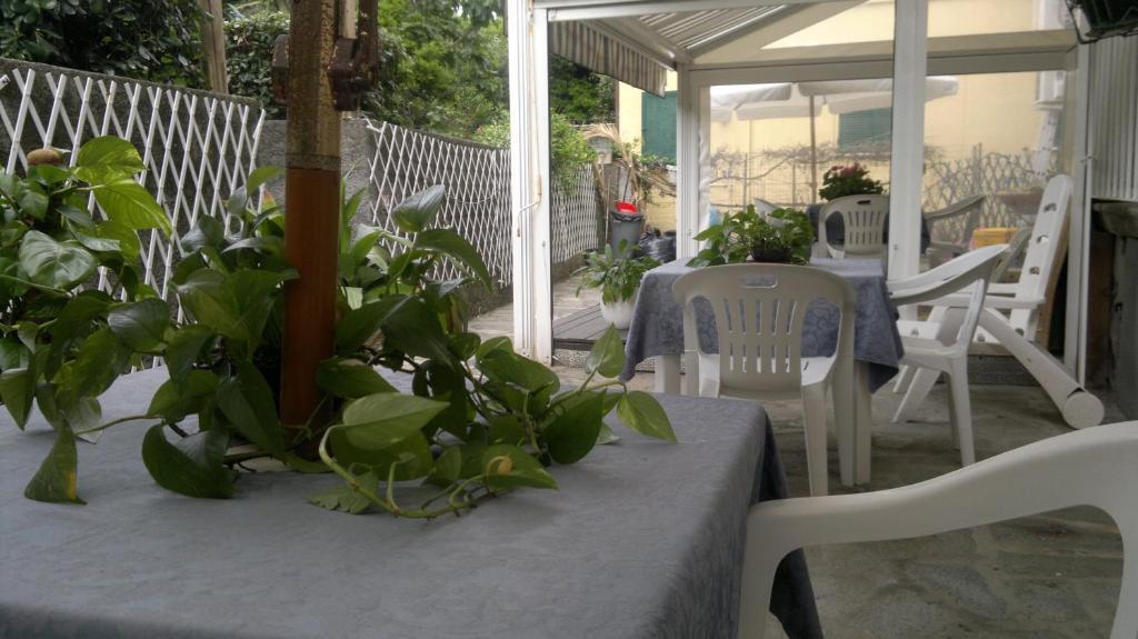Le Conchiglie Hotel Levanto Buitenkant foto
